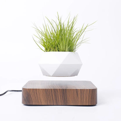 Levitating Air Bonsai Pot Rotation Flower Pot Planters Magnetic Suspension Floating Pot Potted Plant Home Without plants